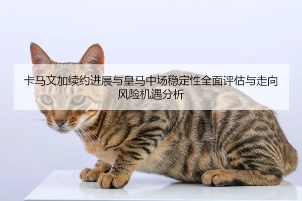 卡马文加续约进展与皇马中场稳定性全面评估与走向风险机遇分析